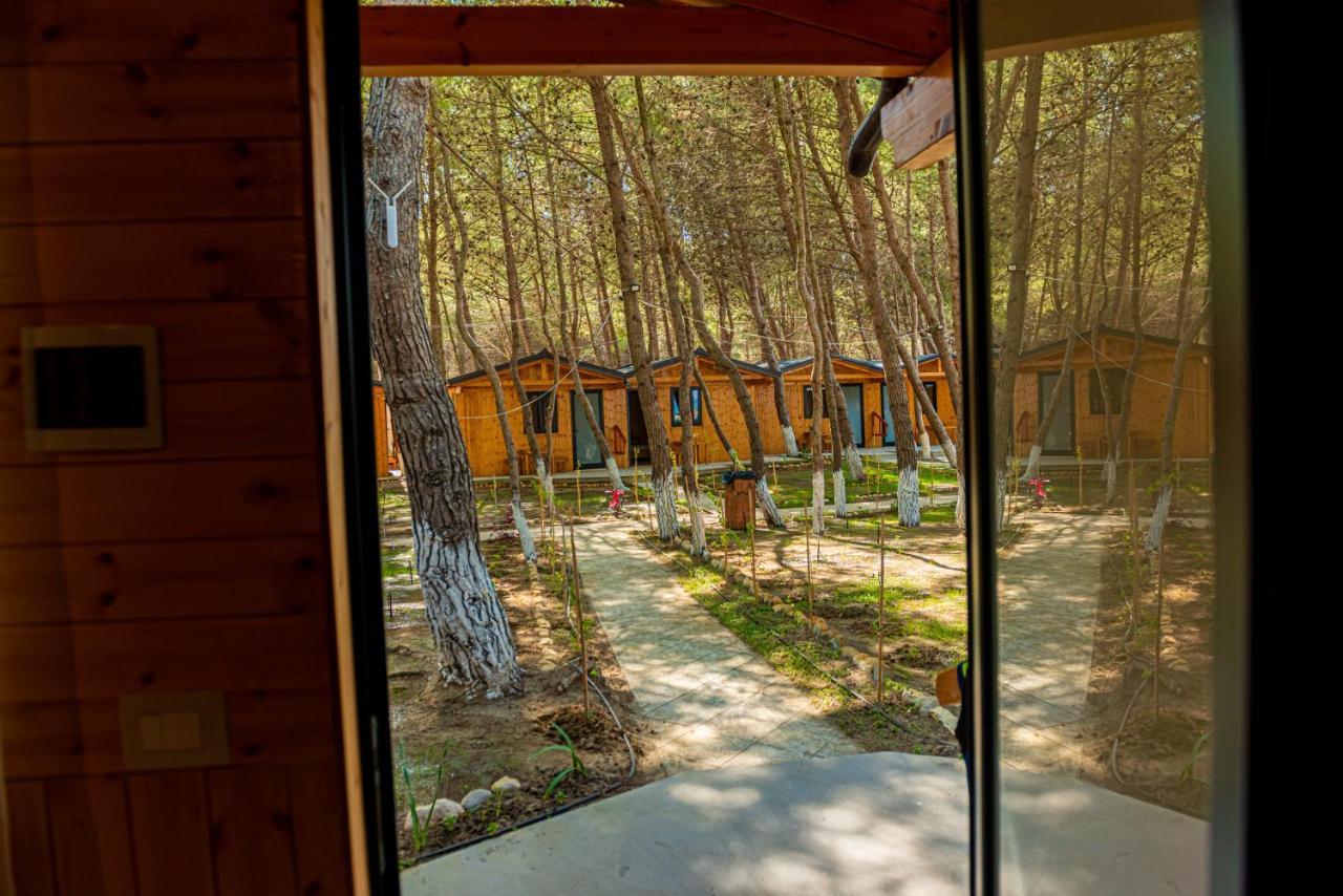 Ecuador Resort Zvernec Exterior photo
